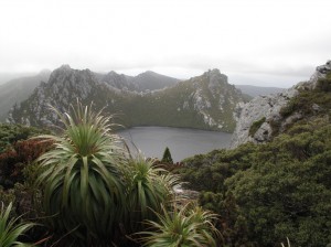 0_122bcf_276acd26_orig