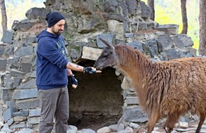 10407828_10152966294439575_3918042025574219074_n