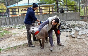 10521652_10152966294514575_8841131443598818120_n