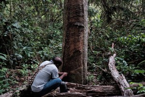 10819068_879994222040817_1172189284_n