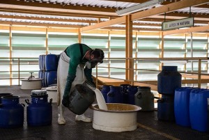 10822182_879994185374154_2140021323_n