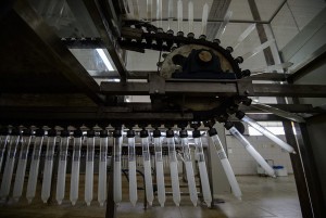 10822463_879994178707488_1678142232_n