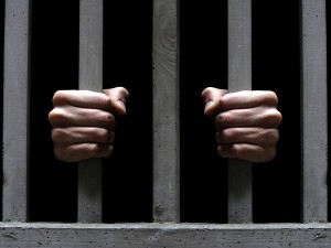 10841445_785182231540276_1822356043_n