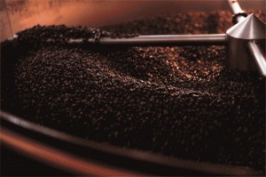 10841543_885486061491633_520105343_n