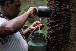 10850350_879994165374156_1887950675_n