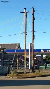 10850517_1004188632942486_449389838_n