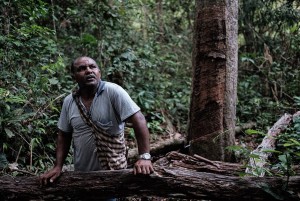 10850611_879994192040820_1735852199_n