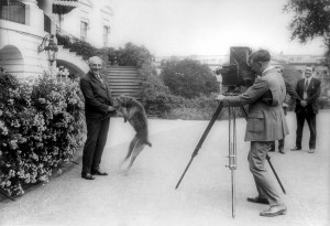 10872638_575077399302613_1068212361_n