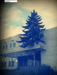 10884382_1004188616275821_573970923_n