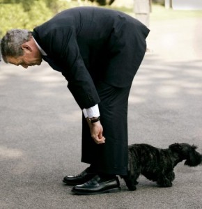 10884960_575077952635891_1015718422_n