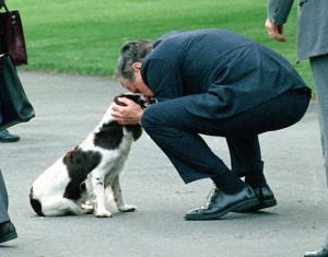 10893369_575077705969249_1776846620_n