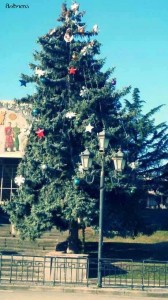 10893588_1004188612942488_1456976649_n