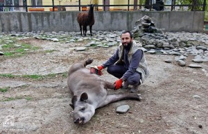 1780749_10152966294594575_7338622841939152896_n