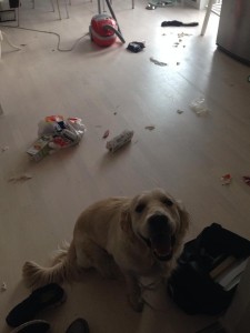 Keg7p19Rnx7D9cm0n9mutil7