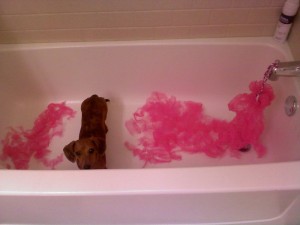 ODH5LxXCvTZryiP7k9V6eE7W