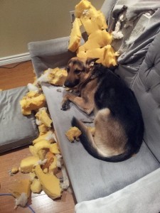 V1SwaHNrjwhOhW8XBN37LsZO