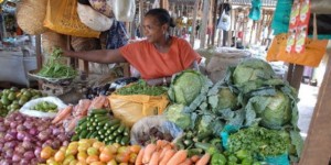 dlyakota.ru_fakty_chto-mozhno-kupit-za-1-v-raznyh-stranah-mira_24