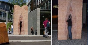 10866679_898311333542439_552537636_n