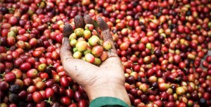 0e36fdaa08119eba8945dc68f10de74a