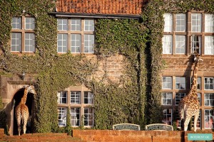 1421828197_unusual-themed-hotels-6-1__880