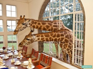 1421828225_unusual-themed-hotels-6-3