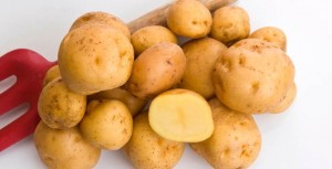 1904c0bc4a55b7deadad85417dd6d41b