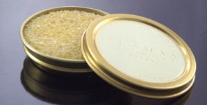 d46c205f5266c46a0011f2a846cb7570