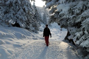 Гриндельвальд2