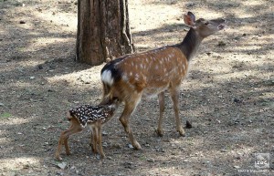 11140287_10153405776334575_5525970268093833428_n