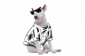 15586_1084833188212751_5772352177179362759_n