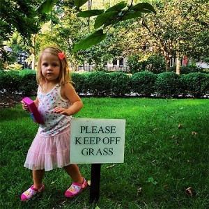 954665_1084506358245434_9032910600624311260_n