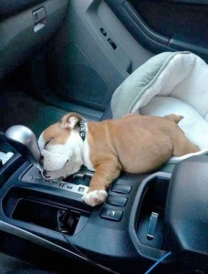 0d920bb3d0d477f5d1dc9a0ad02d6a25