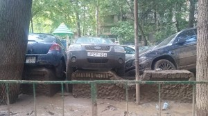 11301426_10204129448148073_1651146317_n