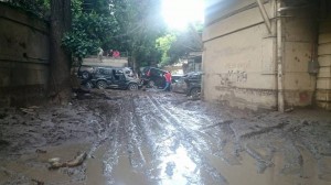 11329539_10204129447948068_262028822_n