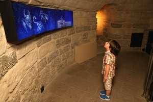 11401340_868218493269228_3943891615178734852_n