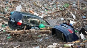 11418340_10204129448068071_756099690_n