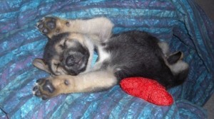 122a158234a9703ce0a31d06df8f1127