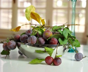 20-kartin-kotorye-kazhutsya-zhivymi_19a1de167122a18af369c749f4e40a48