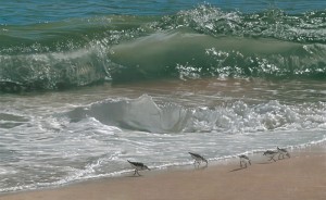 Previous Image is: smPprBch_¥¿1.9ph Rexam Matte_11_11_02