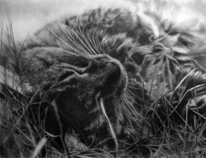 20-kartin-kotorye-kazhutsya-zhivymi_6512bd43d9caa6e02c990b0a82652dca