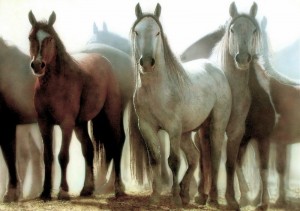 20-kartin-kotorye-kazhutsya-zhivymi_8fbdbf5573b18fae93736180f8d0197a