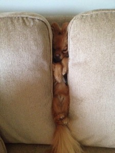 3709452b1dbadca6565f32db02d322bc