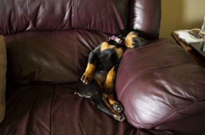 4729aeb7cf8ada9a520c25cf8b4bb298