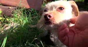 5218e9138fb88dbedc2de043a925b0b4