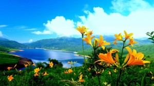 5939f5cc5d7768f23686bee6a1ef37e0