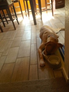 5aeb3e586d520782f1e3b80156678e0e