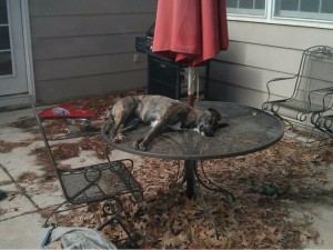 720dffdc5889d542d8cd763d000bb3a2