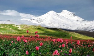 7e411049ecafb4ec24bfb94e650adfce