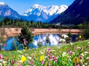 8baf8dc45c2ded497a5664d73b26e0b6