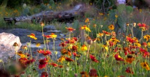 ad12fd64ca2ac8c9d10bed085d36d8cb